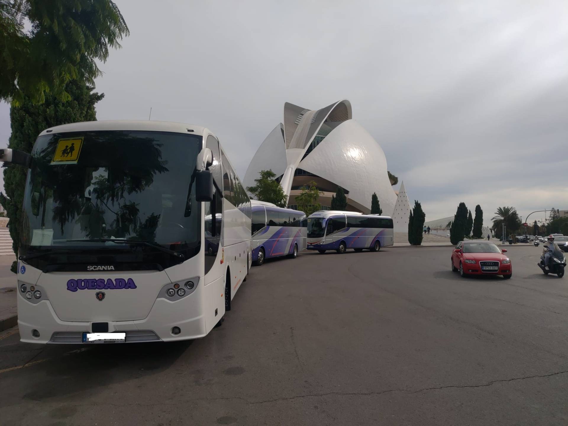 Alquiler de autobuses Navarro y Quesada